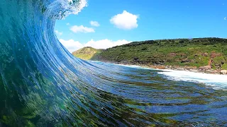 Oof! A Sharp Reef with Shallow Barrels