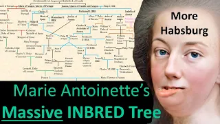 Marie Antoinette's INBRED FAMILY TREE- Her Habsburg Lineage Explained!