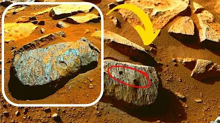 Scientists Analyzed Rocks Collected By NASA Rover And Uncovered Astonishing New Information