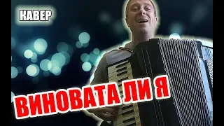 Виновата ли я на аккордеоне (кавер Савченко Дмитрий)