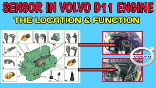 Volvo D11 Engine || The Location and Function of The Sensors on The Volvo Truck Engine