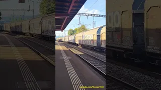 SBB Güterzug beim Bahnhof Neuenhof | Kanton Aargau | Schweiz 2023 | #shorts