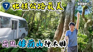 台七線棲蘭山森林神2日遊【神木園交通接駁懶人包｜馬告生態園區】棲蘭山莊住宿開箱｜環島旅行《憂娘駕駛Outdoor》