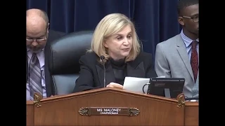 Chairwoman Maloney welcomes Reps. Porter and Haaland to the Oversight Committee