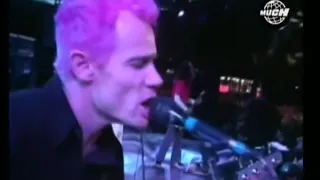 Red Hot Chili Peppers - Scar Tissue (Live at MuchMusic Video Awards 1999)