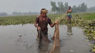 Method of fishing with cut nets 2024 । amazing fishing videos । Unbelievable Fishing Technique