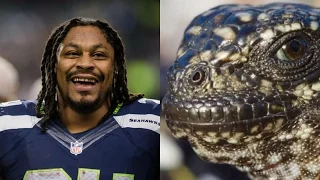 Marshawn Lynch Narrates Planet Earth