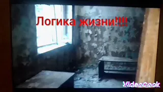 логика жизни