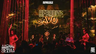 Aaron Sevilla at Afrodise Cavo Dubai / Afro House Dj Set