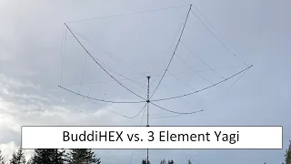 BuddiHEX vs 3 Element Yagi