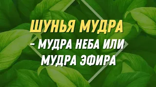 Шунья мудра - мудра неба или мудра эфира