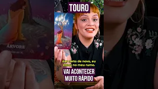 ♉Signo de TOURO no dia HOJE #tarôs #previsões #shorts #horoscopo