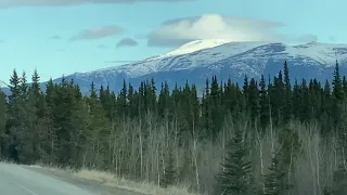 4 дня ждал сварщика в Канаде