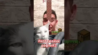 #майнкрафт #майнкрафтприколы #котэ