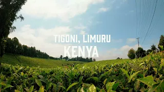 TIGONI in Limuru Kenya Timelapse - AfroHero