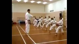 Karate Kata Nijushiho with Shihan Dormenko Andrey 8 Dan ISKF