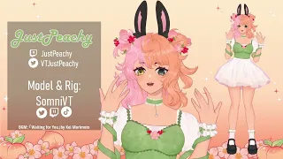 [Live2d Showcase] JustPeachy Model + Rig