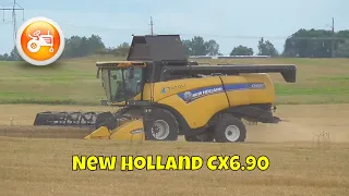 Harvest 2020 | New Holland CX6.90 combine harvesting barley