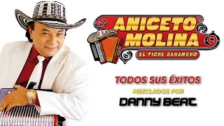 Aniceto Molina Mix Navideño 2023-2024🎄🎅