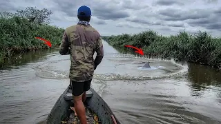 SUBIMOS O RIO  E ME SURPREENDI COMO OQ ACERTEI ! pescaria de tarrafa no Rio Reis magos!