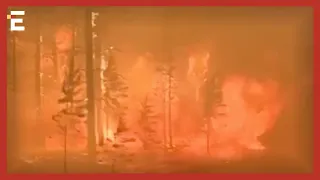 ГОРИТ Россия 🔥 Лесные пожары бурлят в Якутии