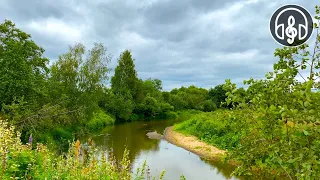 Beautiful singing of morning birds by the calm river. 10 Hours of 4K video.