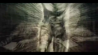 Mantra (Music Video)