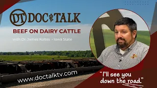 DocTalk Ep 615 Beef on Dairy