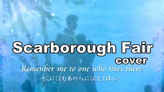 スカボローフェア / 詠唱  サイモン&ガーファンクル  カバー （訳詞付き） Scarborough Fair /Canticle Simon & Garfunkel