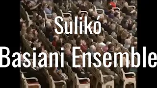 Suliko Basiani