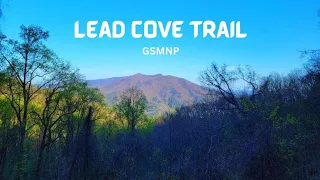 Lead Cove Trail