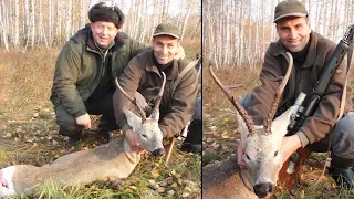 Hunting Siberian Roe deer 2 | Lov sibirskog srndaća | Caccia al capriolo siberiano