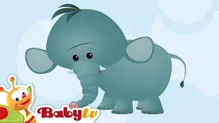 Elephant | Animal Sounds and Names for Kids & Toddlers | @BabyTV