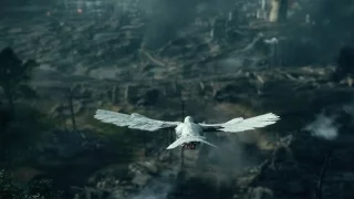 Battlefield 1 - BEAUTIFUL Pigeon Scene