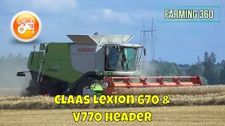 Harvest 2021 | Claas Lexion 670 combine with V770 header