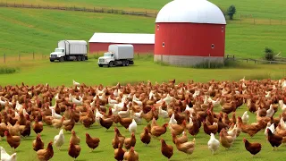 17,445 ORGANIC FARMS In The United States Work This Way - American Farming