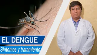 El Dengue en niños. contagio, protección, síntomas, tratamiento.