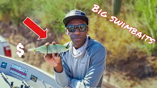 Using GIANT SWIMBAITS To Hunt For My Personal Best Bass! EP. 2 Hunt For PB! ft. Crazybassfisher