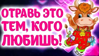 🌺 Разрешите Подарить Улыбку И Прекрасное Настроение!