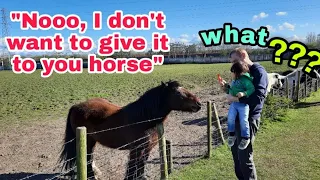 Teddie refused to give the last carrot to the horse,watch to know why |British-Filipino boy|#shorts