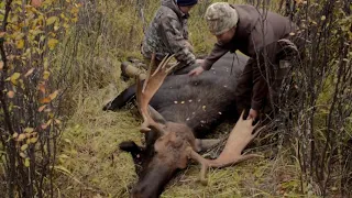 LEH Moosehunt September 2018