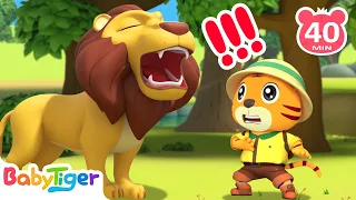 Crazy Jungle Animals | Animals Songs & Nursery Rhymes | Educational Songs - BabyTiger