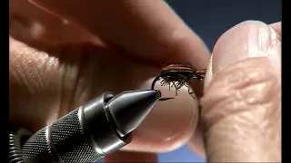 Brian Chan's Proven TROUT FLY PATTERNS | BEST FLIES FOR TROUT FISHING - Water Boatman