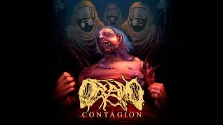 Oceano - Quarantine (Official Audio)