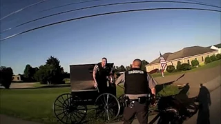 Highway Patrol sergeant hops on runaway horse and buggy to save the day (warning: explicit language)