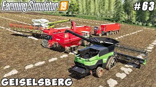 Harvesting canola and soybean | Geiselsberg | Farming simulator 19 | Timelapse #63