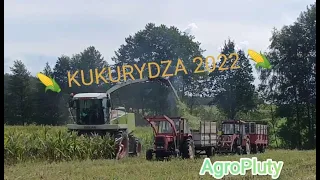 ㋡ Wieś się bawi ㋡ KUKURYDZA 2022 ㋡ Czyli kiszonka na całego ㋡ AgroPluty ㋡