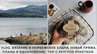 VLOG 37/2020 | МОЕ ВЯЗАНИЕ |ТОП С КРУГЛОЙ КОКЕТКОЙ | НОВАЯ ПРЯЖА | ПЛАНЫ И ВДОХНОВЕНИЕ