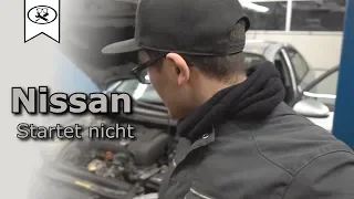 Nissan P12 Startet nicht  |  Does not start  |  Let´s Work  | VitjaWolf  | HD