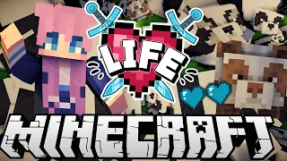 ✧･ﾟ: Panda Chaos :･ﾟ✧ | Ep. 6 | Minecraft X Life SMP